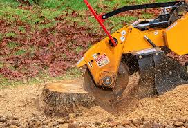 Best Lawn Watering Services  in Parkway, CA